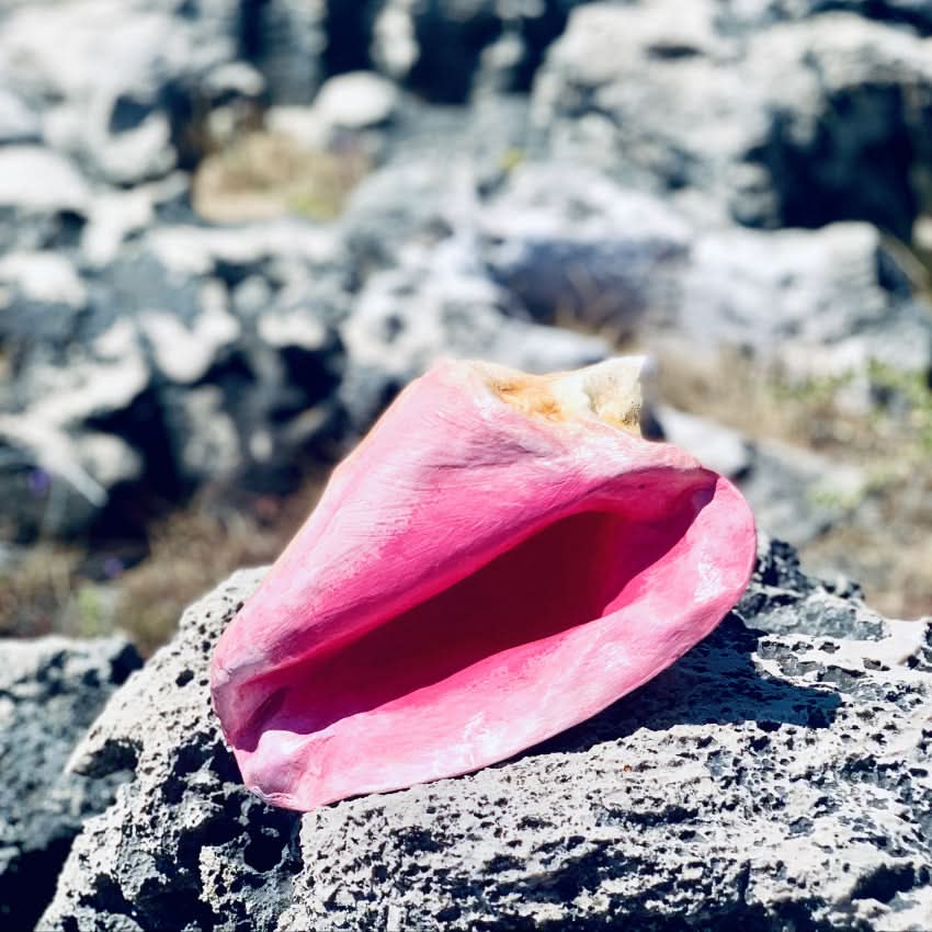 Decorazione scultura arredo casa da tavolo in cartapesta colorata artigianato messicano conchiglia mare eco sostenibile