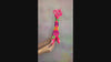 Decorazione arredo casa da tavolo artigianato peluche giraffa fatto a mano colorato e ricamato in lana messicano