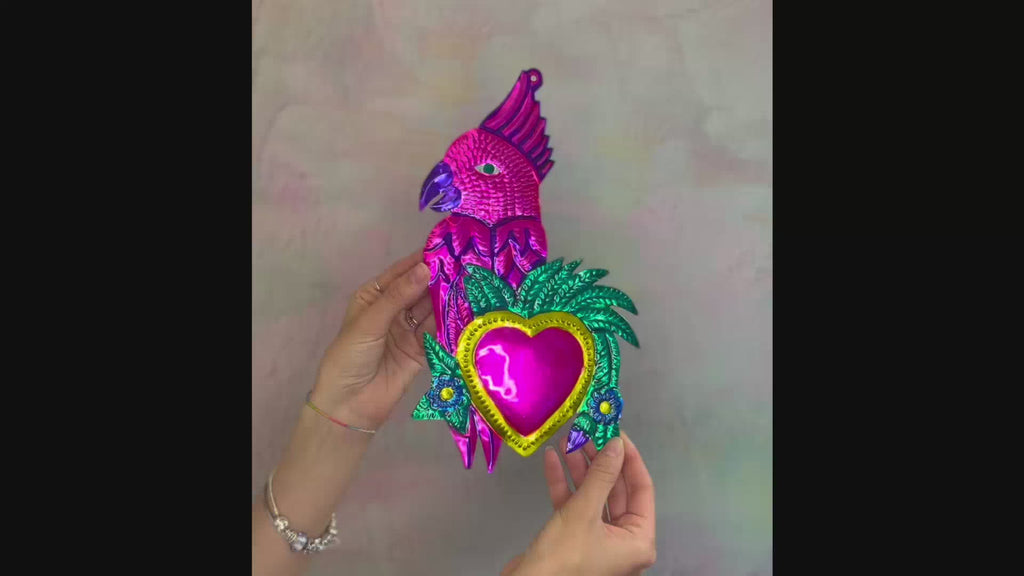 Loving Parrot with Maxi Heart