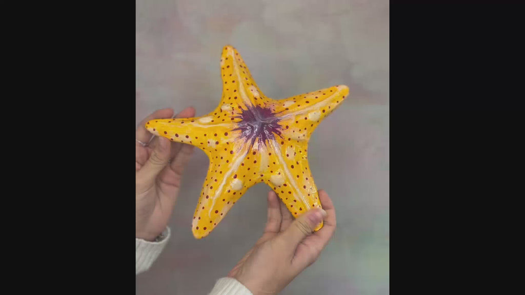 Stella Marina – Arancione