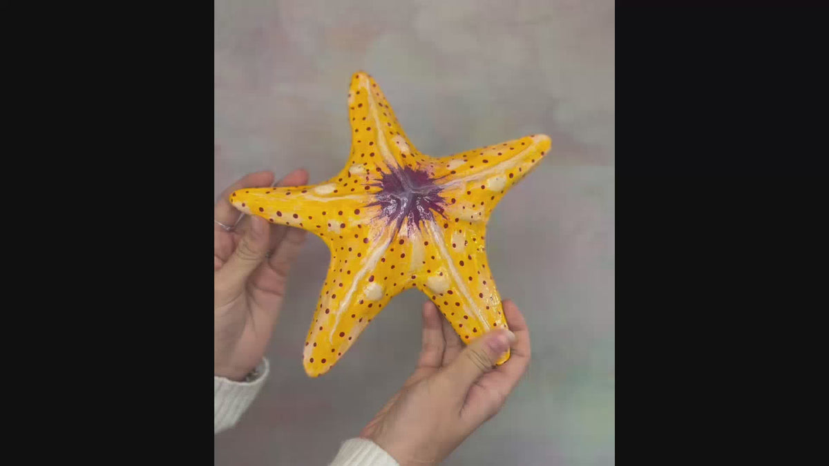 Stella Marina – Arancione