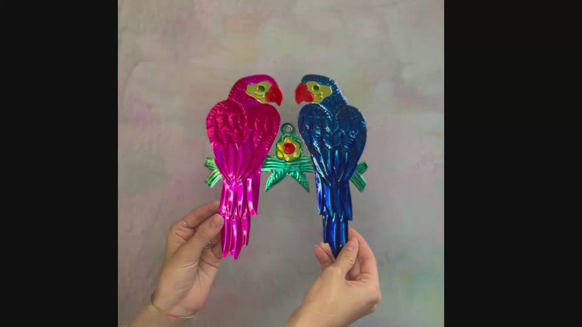 Coppia di Pappagalli Scintillanti "Lovebirds"