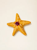 Stella Marina – Arancione