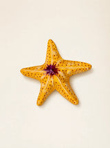 Stella Marina – Arancione